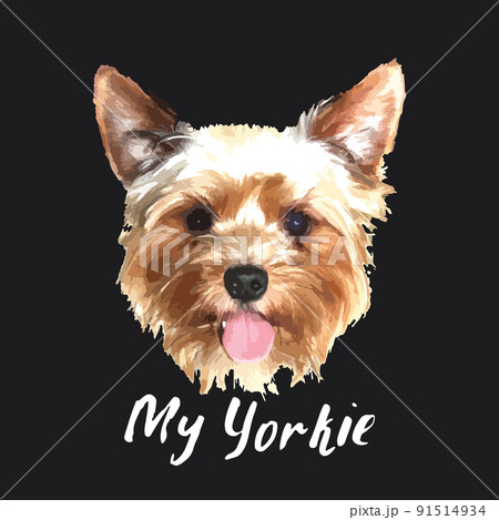 Yorkshire Terrier portrait, Cute dog with lettering quote. Vector illustration 91514934