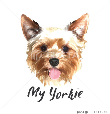 Yorkshire Terrier portrait, Cute dog with... - Stock Illustration ...