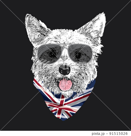 Yorkshire Terrier portrait, Cute cool dog in glasses and UK flag bandana, Vector illustration 91515026