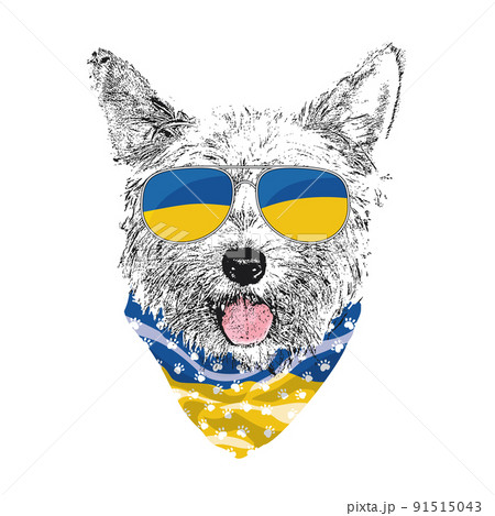 Yorkshire Terrier portrait, Cute cool dog in Ukraine flag glasses and bandana, Vector illustration 91515043