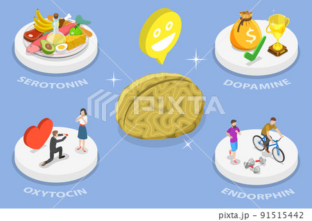 3D Isometric Flat Vector Conceptual Illustration of Happy Hormones 91515442