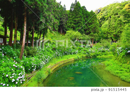 河川 川の流れ 景色 91515445