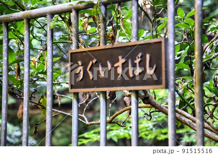 河泉二十四地蔵九華山地蔵寺うぐいすばしの標識 河泉二十四地蔵九華山地蔵寺うぐいすばしの標識 91515516