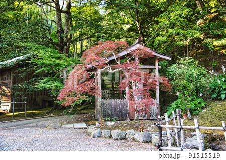 九華山地蔵寺(河泉二十四地蔵霊場 もみじ 池 小屋 竹の柵) 九華山地蔵寺(河泉二十四地蔵霊場 もみじ 池 小屋 竹の柵) 91515519