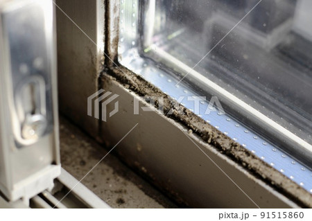 室内窓、サッシ、窓枠に黒カビ、大量に発生している 91515860