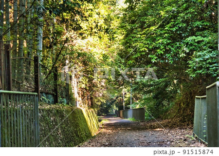 河泉二十四地蔵九華山地蔵寺高野天見ととろ街道 91515874
