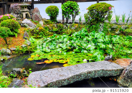 京都、十輪寺の境内 91515920