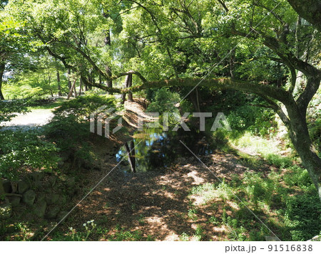 岡崎城 岡崎城 91516838