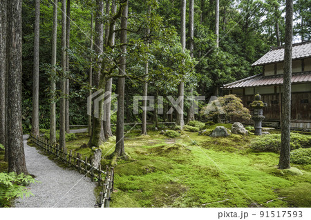 日用苔の里・叡智の杜(Forest of Wisdom) 日用苔の里・叡智の杜(Forest of Wisdom) 91517593