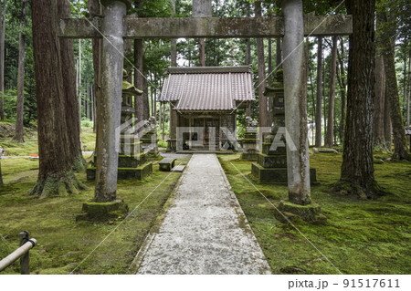 日用苔の里、日用神社 日用苔の里、日用神社 91517611