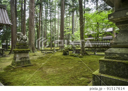日用苔の里、日用神社 日用苔の里、日用神社 91517614