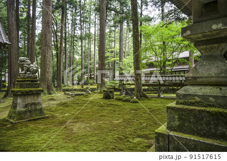 日用苔の里、日用神社 日用苔の里、日用神社 91517615