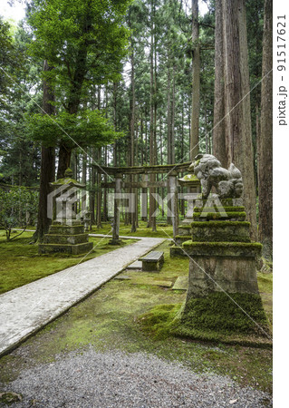 日用苔の里、日用神社 日用苔の里、日用神社 91517621