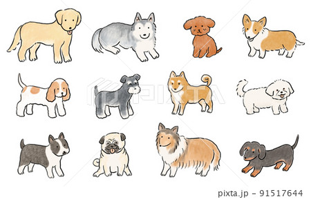 手描きの可愛い犬セットのイラスト素材 [91517644] - PIXTA