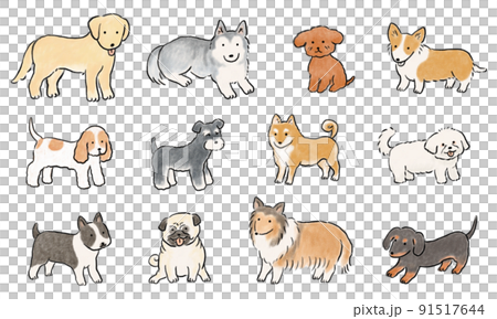 手描きの可愛い犬セット 91517644