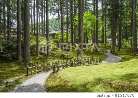 日用苔の里・叡智の杜（Forest of Wisdom） 91517670