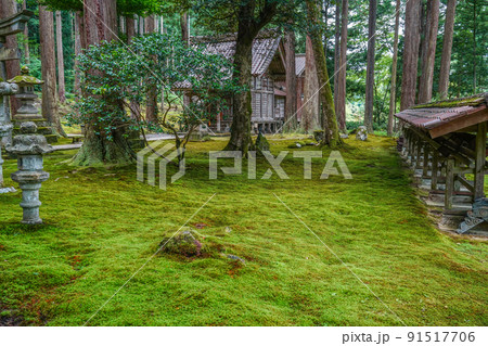 日用苔の里・叡智の杜(Forest of Wisdom) 日用苔の里・叡智の杜(Forest of Wisdom) 91517706