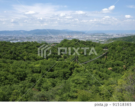 大阪　ほしだ園地　展望台 91518365