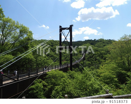 大阪　ほしだ園地　吊り橋 91518373