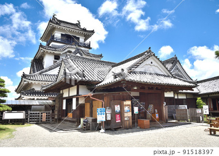 初夏の高知城天守閣 91518397