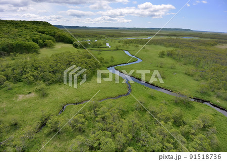 空から見る初夏の釧路湿原（北海道・鶴居村） 91518736