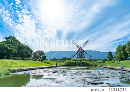 岐阜県海津市　オランダ風の風車のある初秋の木曽三川アクアワールド水郷パークセンターのオニバスの池 91518782