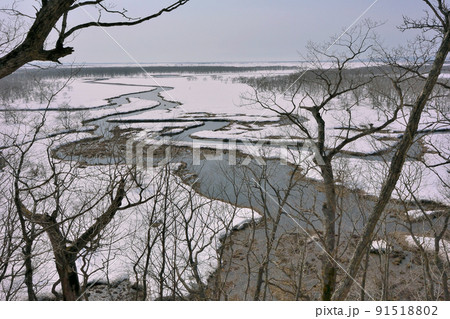 冬のキラコタン岬（北海道・鶴居村） 91518802