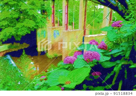 ボタンクサギと堰 91518834