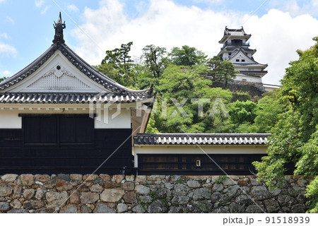 初夏の高知城天守閣 初夏の高知城天守閣 91518939