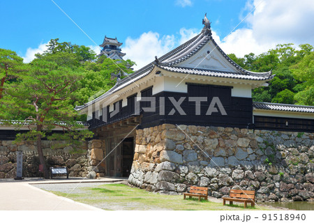 初夏の高知城天守閣 91518940