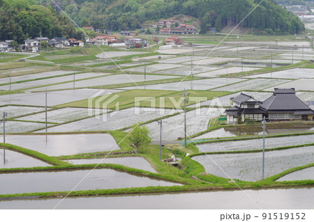世羅町青山地区の田園風景 91519152