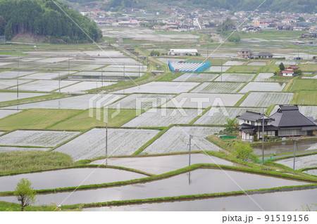 世羅町青山地区の田園風景 91519156