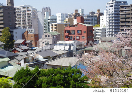 比治山公園から眺めた街並の景色 比治山公園から眺めた街並の景色 91519194