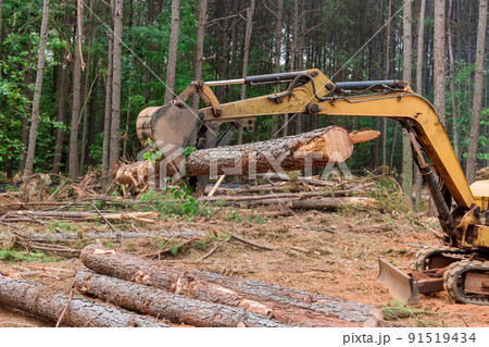 In the forest, it lifts logs using a tractor manipulator to land is cleared to construct houses In the forest, it lifts logs using a tractor manipulator to land is cleared to construct houses 91519434