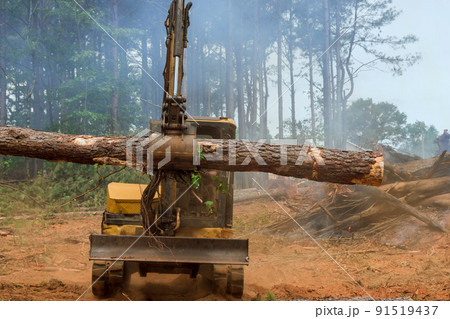 A deforestation the forest a work is performed on a tractor manipulator which lifts logs A deforestation the forest a work is performed on a tractor manipulator which lifts logs 91519437