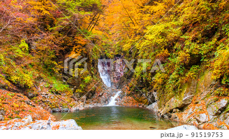 尾白川渓谷(秋):千ヶ淵 尾白川渓谷(秋):千ヶ淵 91519753