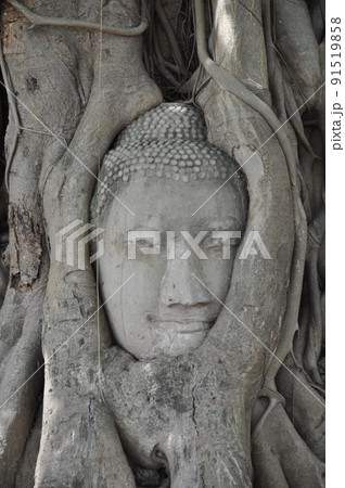 人気海外旅行先ランキング1位　タイバンコク　寺院ワットポーやアユタヤ　 91519858