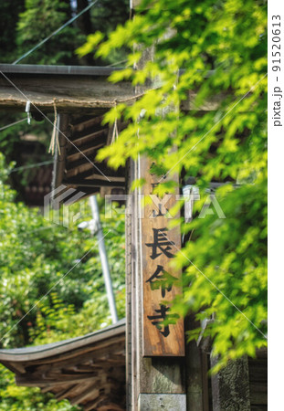 滋賀県近江八幡市「姨綺耶山 長命寺」の山門と新緑の風景 滋賀県近江八幡市「姨綺耶山 長命寺」の山門と新緑の風景 91520613