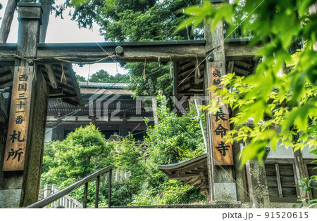 滋賀県近江八幡市「姨綺耶山 長命寺」の山門と新緑の風景 滋賀県近江八幡市「姨綺耶山 長命寺」の山門と新緑の風景 91520615
