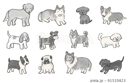 手描きの可愛い犬セット モノクロ 手描きの可愛い犬セット モノクロ 91520823