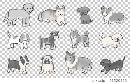 手繪可愛狗狗套裝單色 91520823