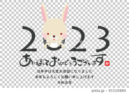 2023年卯年年賀素材 91520860