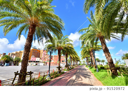 北谷アメリカンビレッジ　沖縄アメリカンビレッジ　美浜アメリカンビレッジ　沖縄県北谷町 91520972