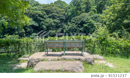 公園のベンチ｜千葉市・泉谷公園 91521237