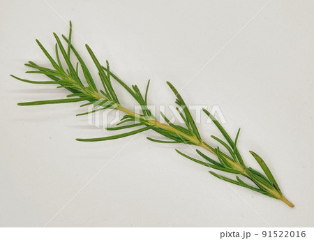 新鮮 葉 食べ物 91522016