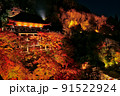 紅葉ライトアップ（清水寺4） 91522924
