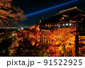 紅葉ライトアップ（清水寺5） 91522925