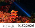 紅葉ライトアップ（清水寺6） 91522926