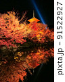 紅葉ライトアップ（清水寺7） 91522927