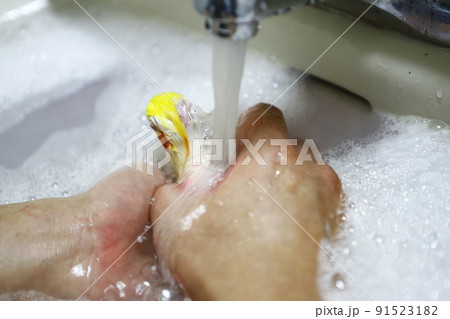 鳥 インコ オウム 91523182